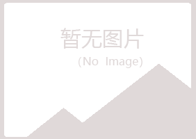 漯河夏槐工程有限公司